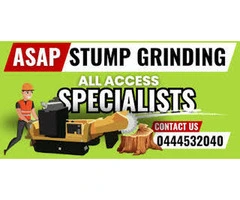 Affordable Stump Grinder Hire on the Gold Coast