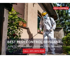 Professional Pest Control Services in Redcliffe – Protect Your Home Today