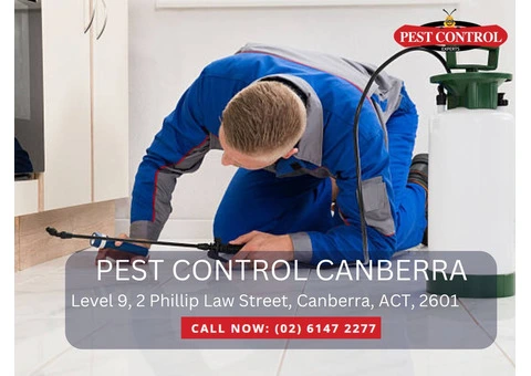 Reliable Pest Control in Melba – Protect Your Home from Pests