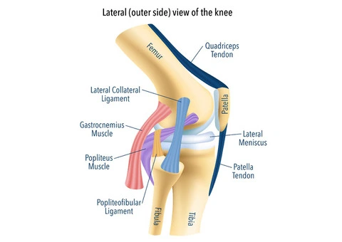 Knee Pain Treatment to Improve Joint Health and Flexibility