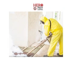 Expert Pest Control Lyndhurst – Trusted Lyndhurst Pest Control Services