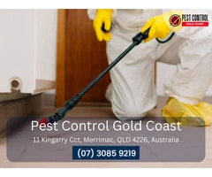 Comprehensive Building Pest Inspections on the Gold Coast