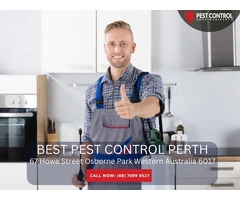 Trusted Pest Specialists in Perth – Expert Solutions for Your Pest Problems