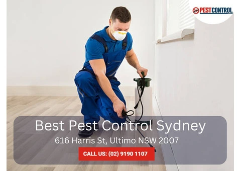 Reliable Pest Inspection Services in Sydney – Protect Your Property