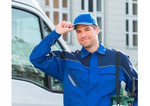 Comprehensive Pest Inspection in Adelaide – Find & Eradicate Pests