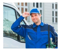 Comprehensive Pest Inspection in Adelaide – Find & Eradicate Pests