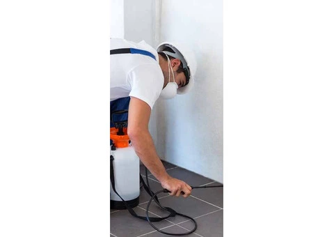 Pest Control Capalaba – Reliable & Affordable Service