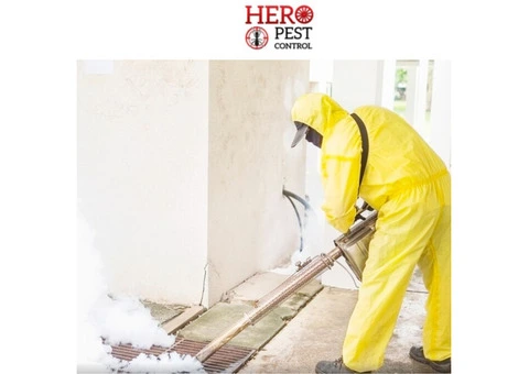 Reliable Local Pest Control Services Near Me – Expert Pest Solutions