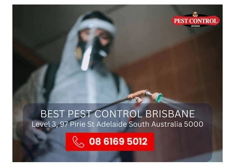 Pest Control Capalaba – Reliable & Affordable Service - 2/2
