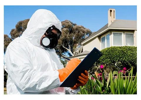 Termite Exterminator Sydney – Expert Termite Removal - 3/3