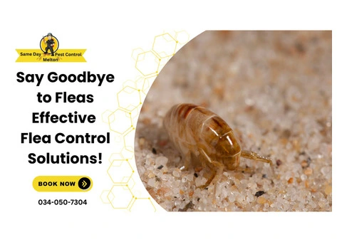 Safe & Reliable Flea Pest Control Services in Melton Book Now