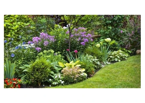 Elite Pools and Designs - Excavation and Landscaping - 5/7