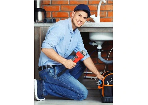 Plumber Wattle Grove