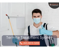 Get Rid of Ants – Expert White Ant Treatment