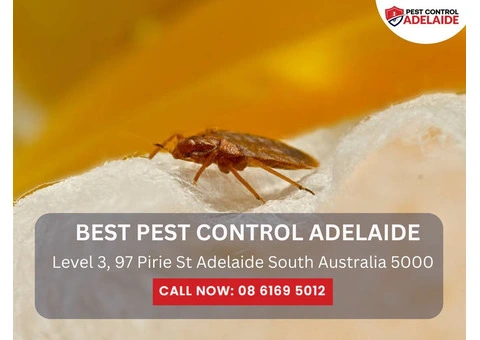 Residential Pest Control Adelaide – Keep Your Home Pest-Free