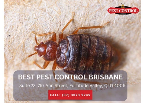 Pest Control for Businesses – Keep Your Workplace Pest-Free
