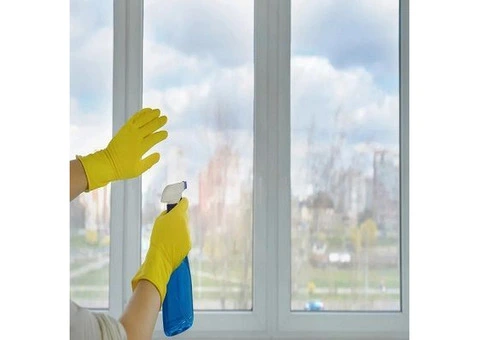 Sparkling Clean Windows – Professional Window Cleaning Services Near You!