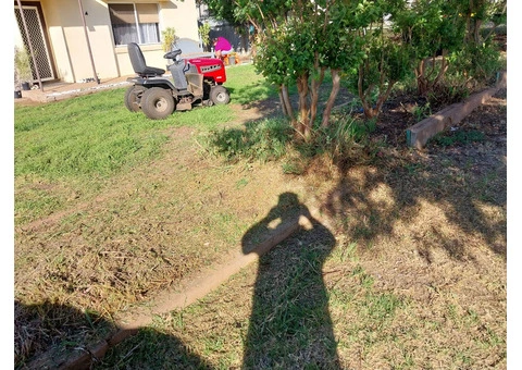 martin's gardening - 7/7