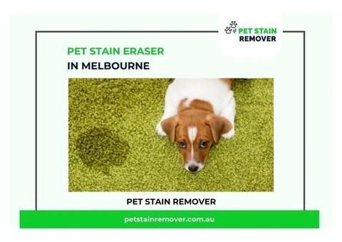 Pet Stain Eraser in Melbourne - Shop Now at Pet Stain Remover