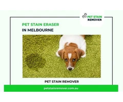 Pet Stain Eraser in Melbourne - Shop Now at Pet Stain Remover