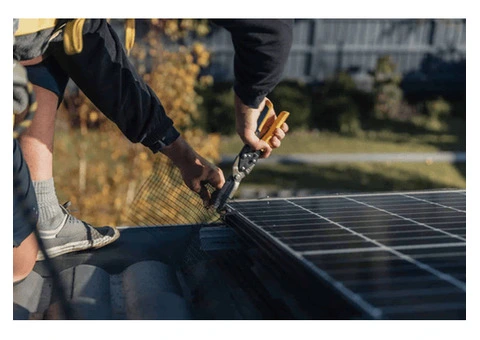 Bird Proofing Solar Panels in Melbourne Protect Your Investment