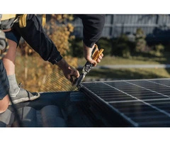 Bird Proofing Solar Panels in Melbourne Protect Your Investment