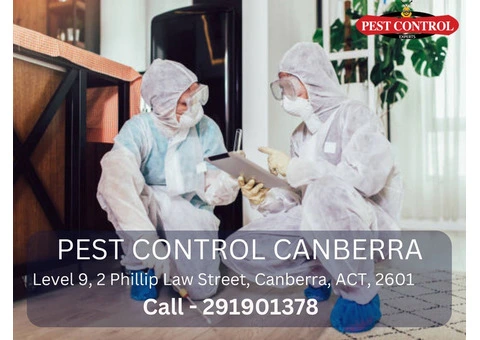Professional Pest Inspection Services in Canberra