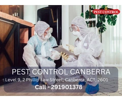 Professional Pest Inspection Services in Canberra