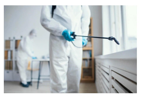 Pest Patrol Pest Control Melbourne - 1/4
