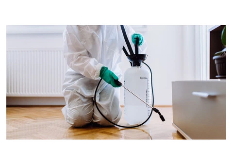 Pest Patrol Pest Control Melbourne - 2/4