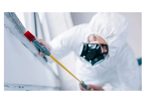 Pest Patrol Pest Control Melbourne - 4/4