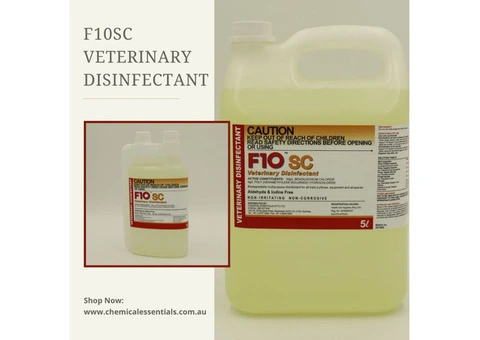 Effective Pet Friendly Disinfectant Solutions for Every Need