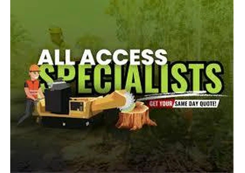 Affordable Stump Grinder Hire on the Gold Coast