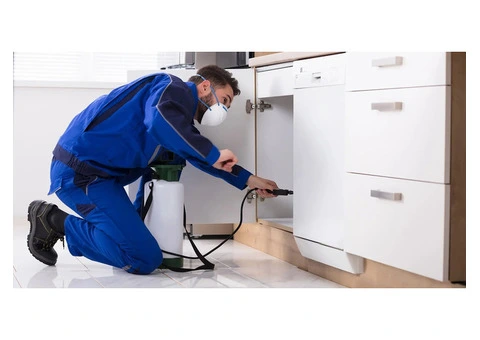 GR Pest Control – Sydney’s Reliable Local Pest Control Specialists