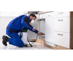 GR Pest Control – Sydney’s Reliable Local Pest Control Specialists