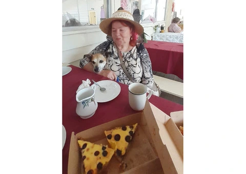 WANTED : Personal Assistant To Old Lady - 1/6