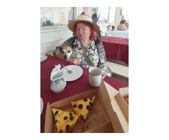 WANTED : Personal Assistant To Old Lady