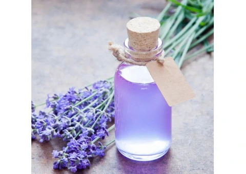Essential Oil: Pamper and Revitalise Your Body and Mind With Our Lavender Oil