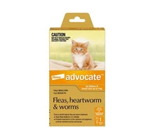 Advocate For Dogs and Cats