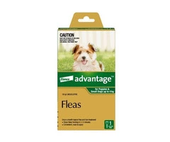 Buy Advantage for Dog and Cat Online