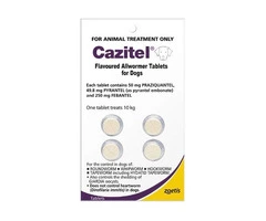 Cazitel for Dogs: Reliable Protection Against Worms