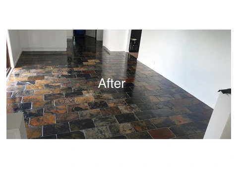 Sofa cleaning experts Lower north shore | Rug cleaning services Upper north shore