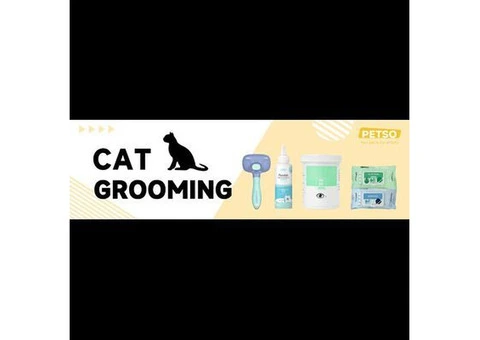 Get The Premium Cat Grooming Products