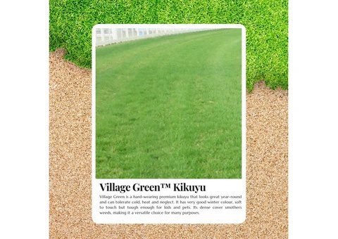 The Ultimate Lawn Upgrade with Village Green Premium Kikuyu