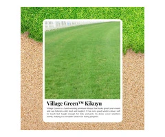 The Ultimate Lawn Upgrade with Village Green Premium Kikuyu