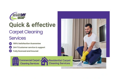 Professional Carpet Cleaning Indooroopilly | Quality You Can Trust | Book Now