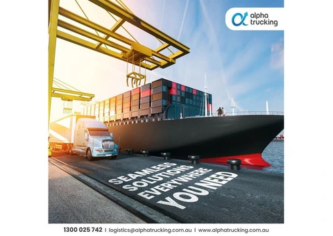 Move Your Goods Efficiently with Professional Sea Freight Services
