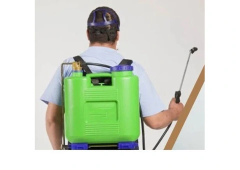 Sydney Pest Control – Safe & Effective Pest Management