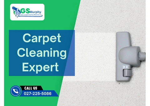 Deep Clean, Fresh Feel – Carpet Cleaning Mosman at Its Best