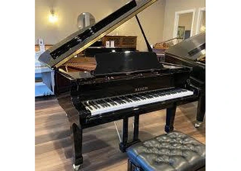 Grand Piano Sale: Discover Luxury and Sound Excellence at Unbeatable Prices